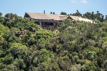 Kariega Game Reserve Settlers Drift Alexandria  Luaran gambar