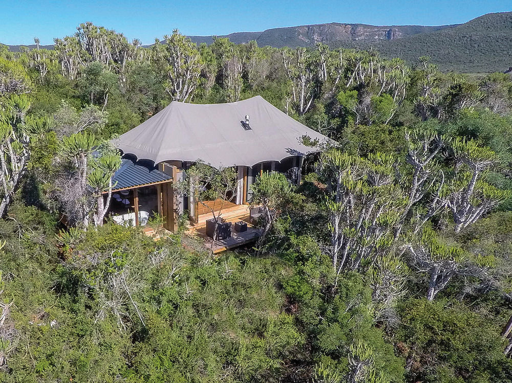 Kariega Game Reserve Settlers Drift Alexandria  Luaran gambar