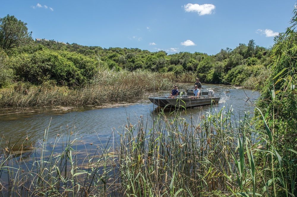 Kariega Game Reserve Settlers Drift Alexandria  Luaran gambar