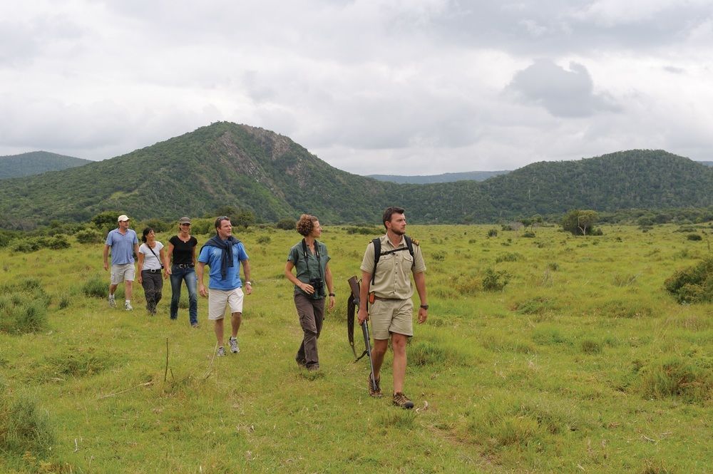 Kariega Game Reserve Settlers Drift Alexandria  Luaran gambar