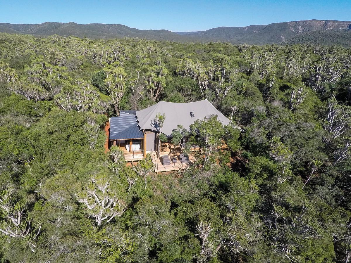 Kariega Game Reserve Settlers Drift Alexandria  Luaran gambar