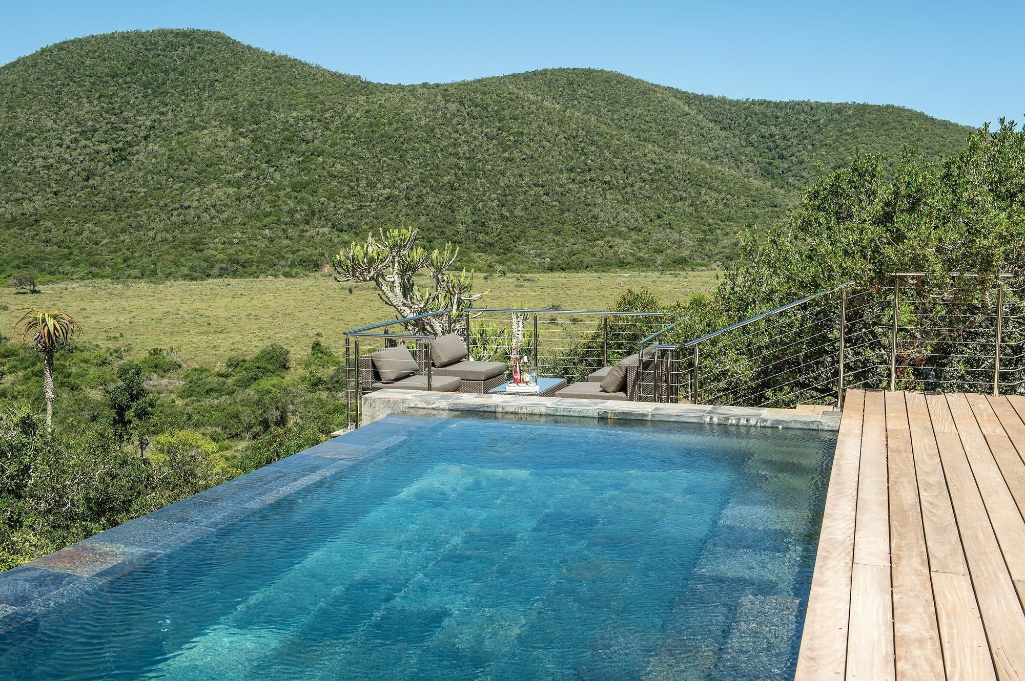Kariega Game Reserve Settlers Drift Alexandria  Luaran gambar